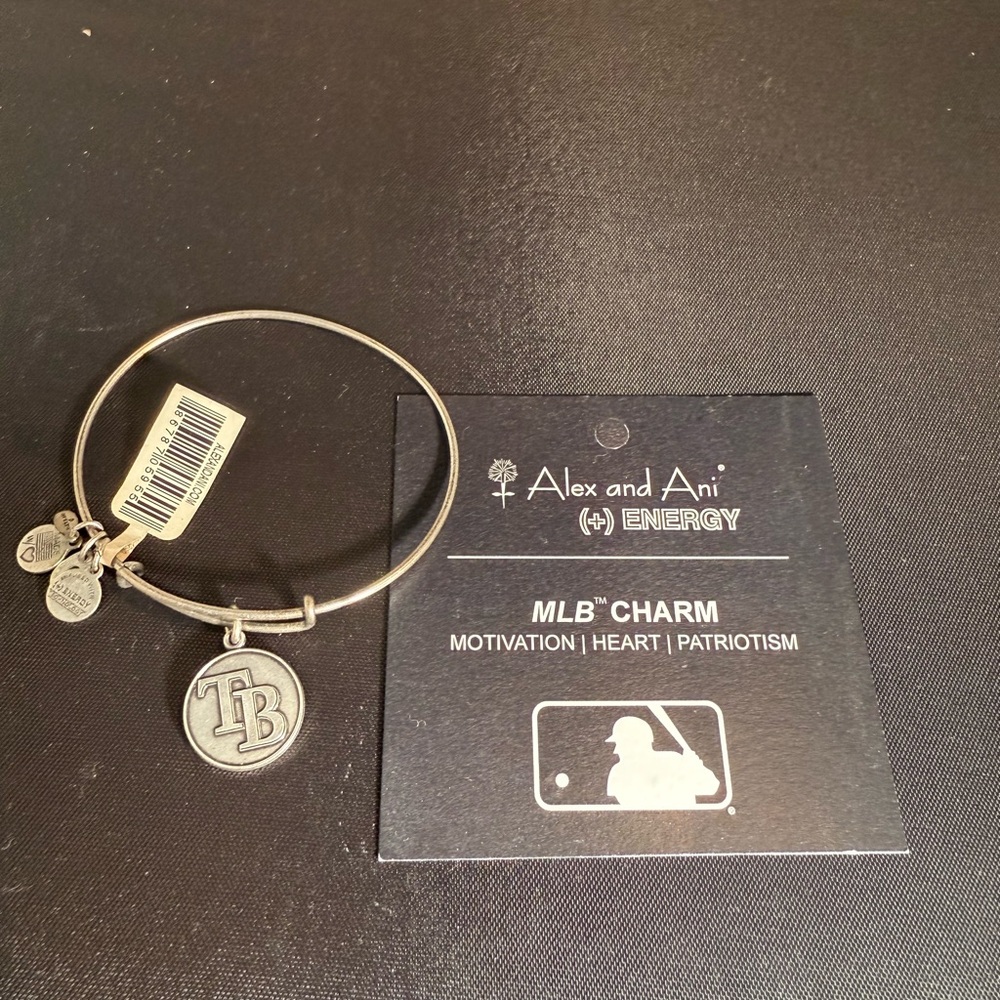 Alex and Ani Silver TB Charm Bangle - Picture 2 of 2